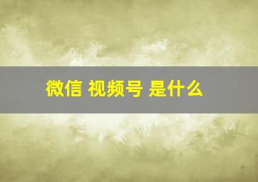 微信 视频号 是什么